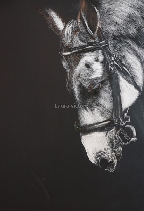 Laura Victore - Equine Arts